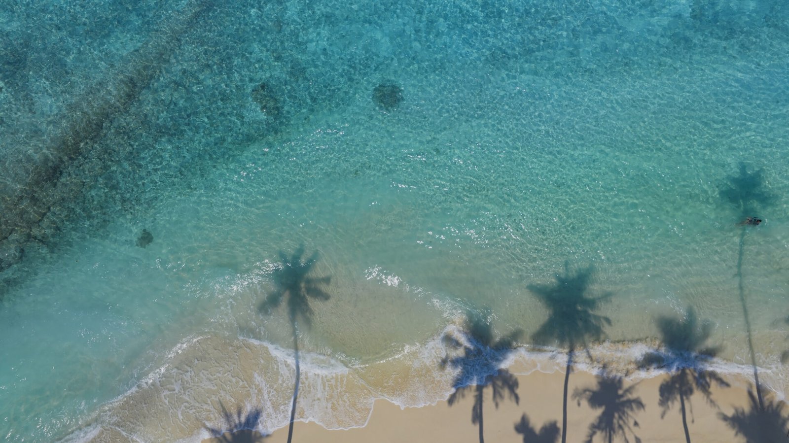 Aerial view of turquoise water and palm-lined beach